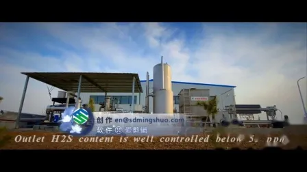 Clinical Waste Waste Burning Treatment Waste Gas Rto