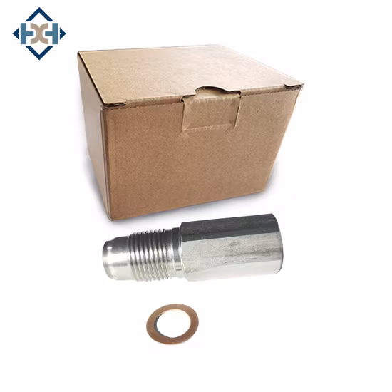1920 NL Pressure limiter valve spare part common rail system for PEUGR0T Boxer